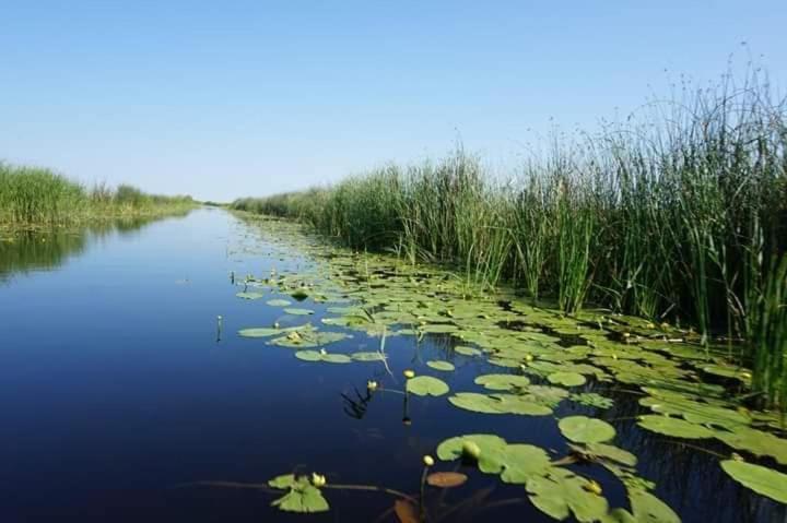 Apartament 2 Camere Semidecomandat "La Gicu" Sulina Bagian luar foto